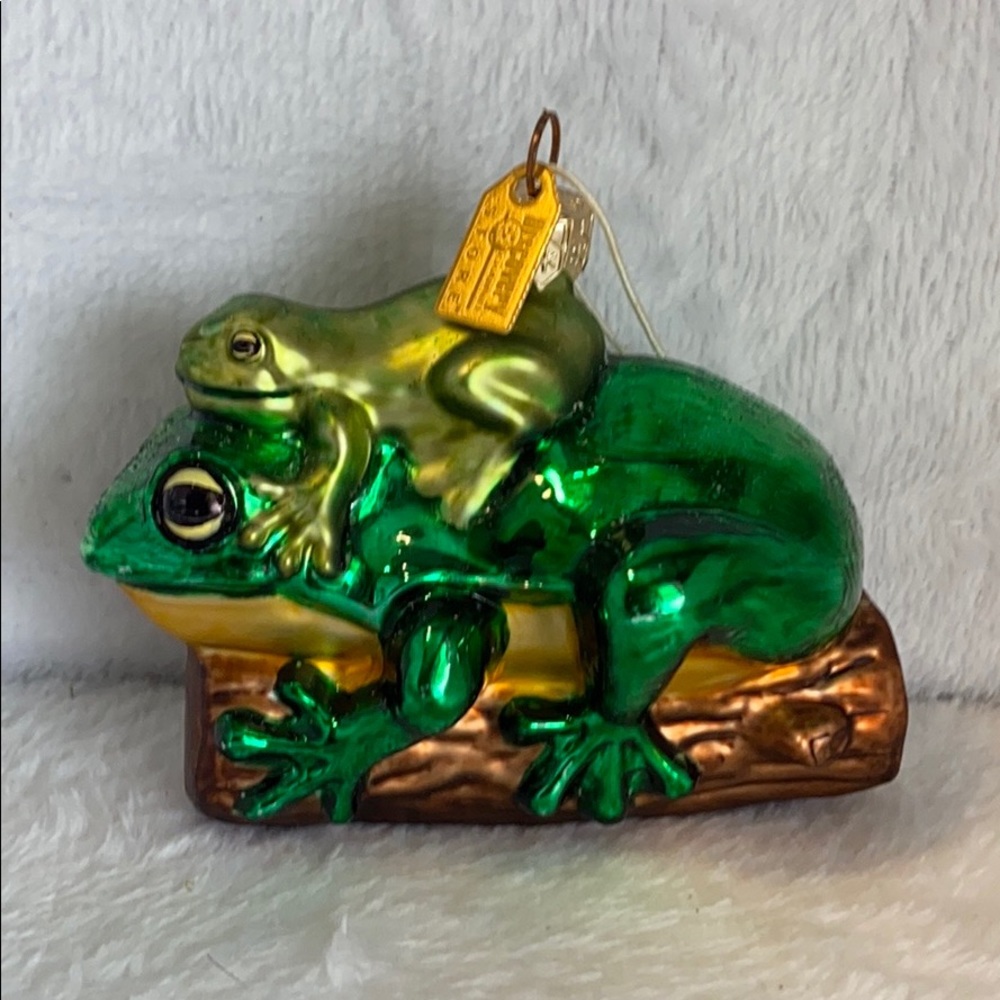 Discovery Channel Frog Vintage Ornament
